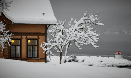 How to Prepare for Winter: 5 Quick Tips for Homeowners